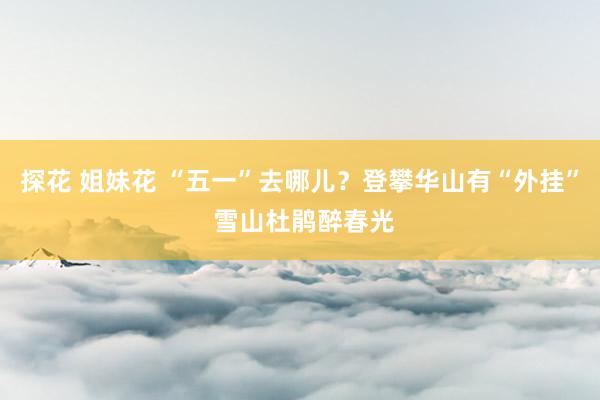 探花 姐妹花 “五一”去哪儿？登攀华山有“外挂” 雪山杜鹃醉春光