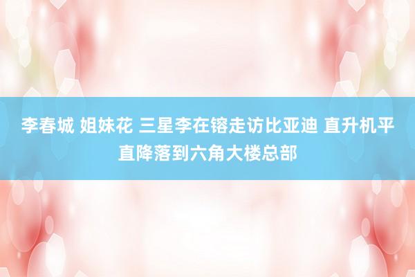 李春城 姐妹花 三星李在镕走访比亚迪 直升机平直降落到六角大楼总部